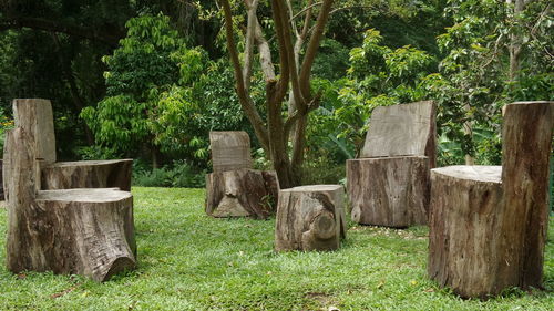 Wooden structure on grassy field