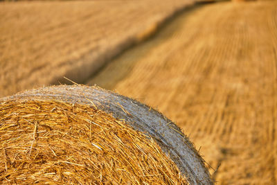 Close-up of hay bales on field