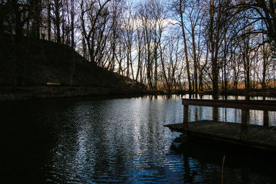 Scenic view of lake in forest against sky