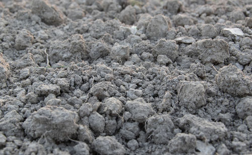 Full frame shot of rocks