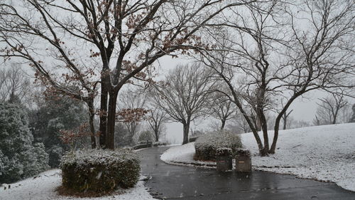 Bare trees on snow covered landscape