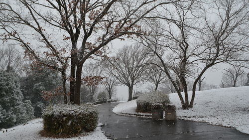 Bare trees on snow covered landscape