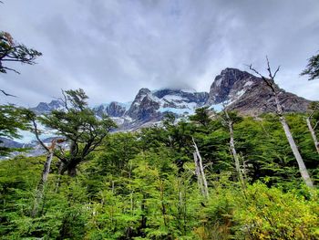 Francés valley on torres del paine national park