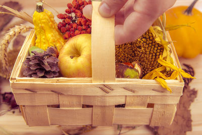 Close-up of hand holding fruits