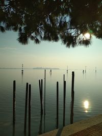 Wooden posts in sea against sky at sunset