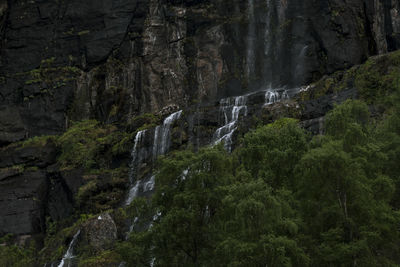 Low angle view of waterfall in forest
