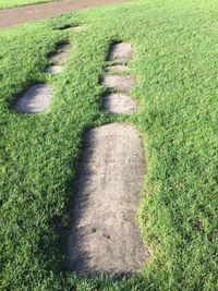 High angle view of shadow on grassy field