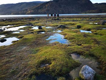 Friends walking on field by lake