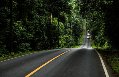 Road amidst trees in forest