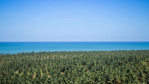 Scenic view of sea against clear blue sky