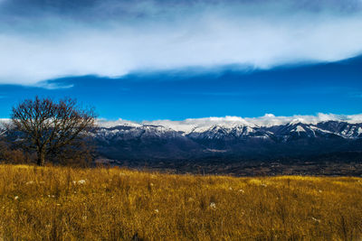 Scenic view of field against dramatic sky