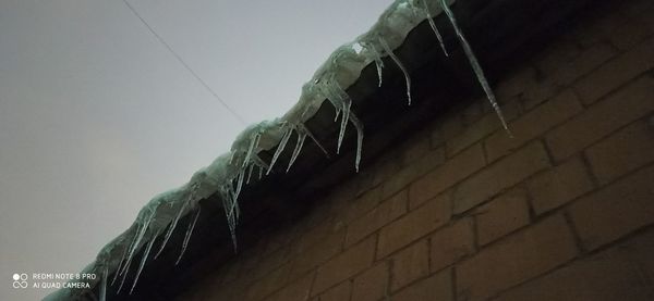 Low angle view of icicles on wall against building