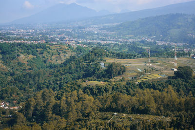 High angle view of trees on field