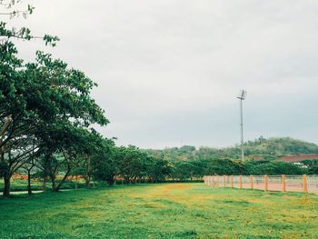 Trees on field against sky