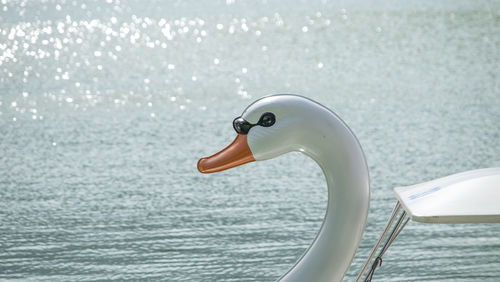 Swan shape pedal boat in lake