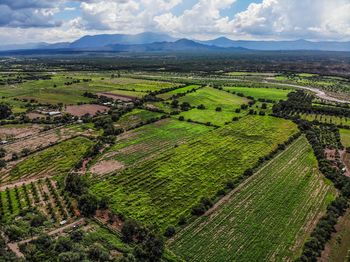 Aerial view of farm