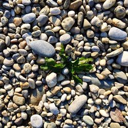 High angle view of stones on pebbles