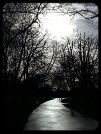 Road amidst trees against sky