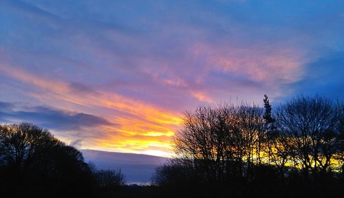 Trees against dramatic sky during sunset