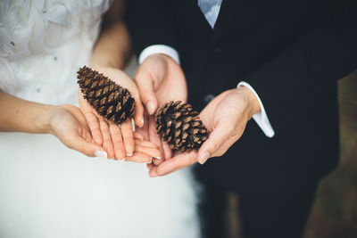 Close-up of hand holding pine cone