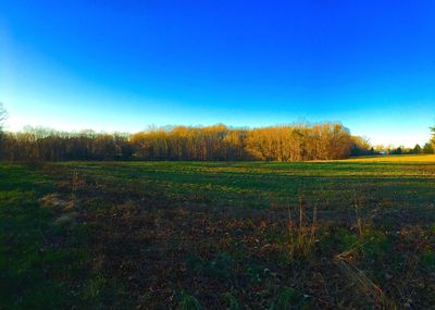 Scenic view of landscape against clear blue sky