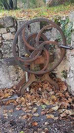 Old rusty railroad track amidst field during autumn