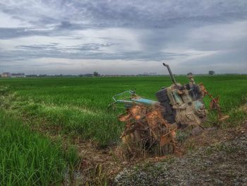 Man working in farm against sky