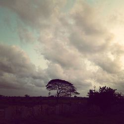 Scenic view of field against cloudy sky