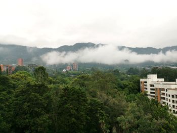 fog