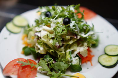 Close-up of salad served in plate