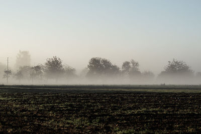 Scenic view of field against sky during foggy weather