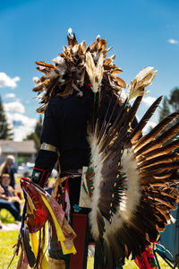 Low angle view of feathers on plant against sky