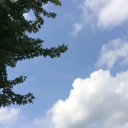 sky