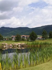 Scenic view of lake and houses against sky