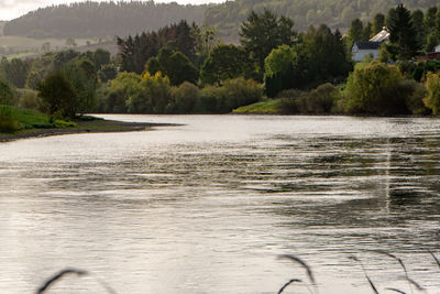 Scenic view of river in forest against sky