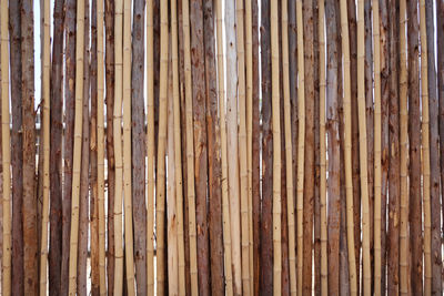 Full frame shot of bamboo fence