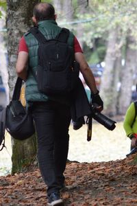 Rear view of men walking in forest