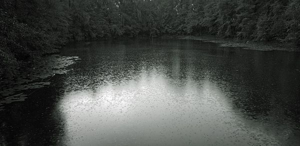 High angle view of lake