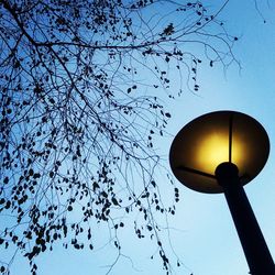 Low angle view of bare tree against sky