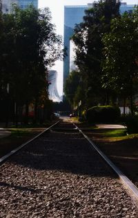 Road in park against sky in city