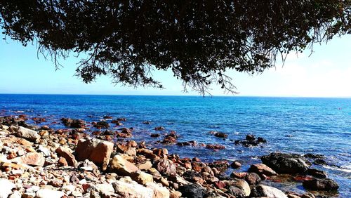 Scenic view of sea against clear sky