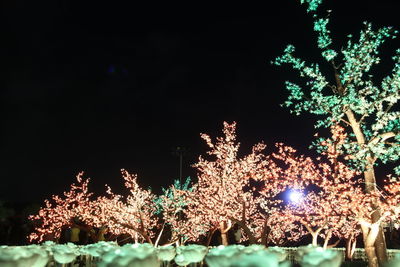 Illuminated christmas tree against sky at night
