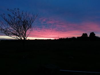 Silhouette trees on field against sky at sunset