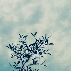 Low angle view of trees against cloudy sky