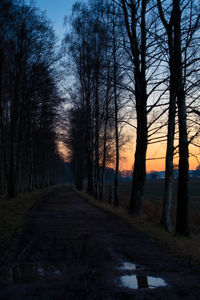 Road amidst trees in forest against sky at sunset