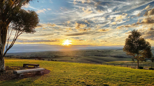 Scenic view of field against sky during sunset