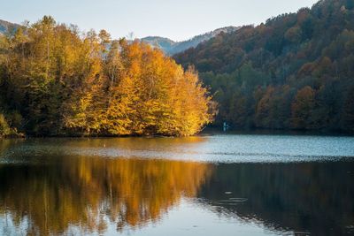 Scenic view of lake by trees during autumn