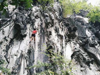 People on rock formation amidst trees