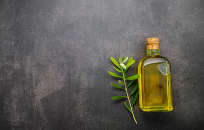 Directly above shot of green bottle on glass