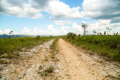 Road amidst plants on field against sky